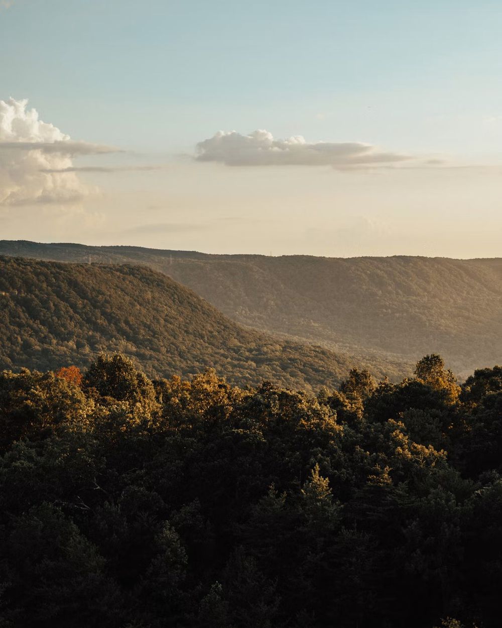 The ridges above the city